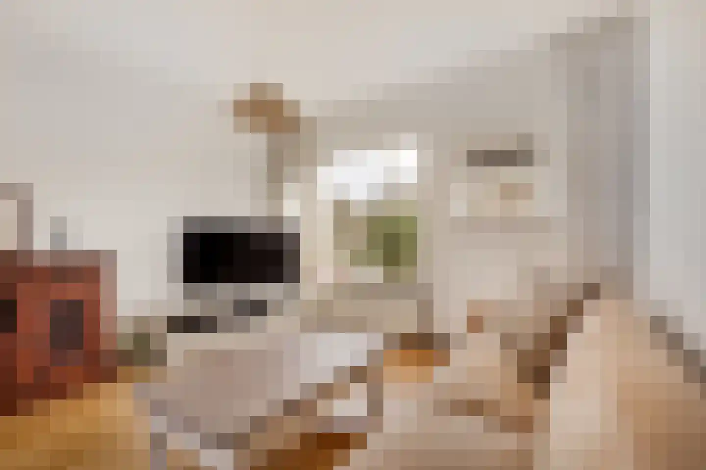 Marialaan 99 Zwanenburg thumbnail 10
