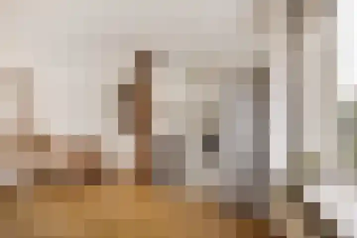 Marialaan 99 Zwanenburg thumbnail 12