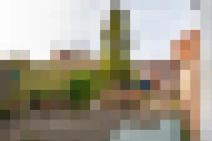 Marialaan 99 Zwanenburg thumbnail 15