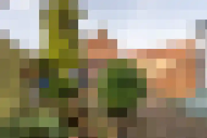Marialaan 99 Zwanenburg thumbnail 16