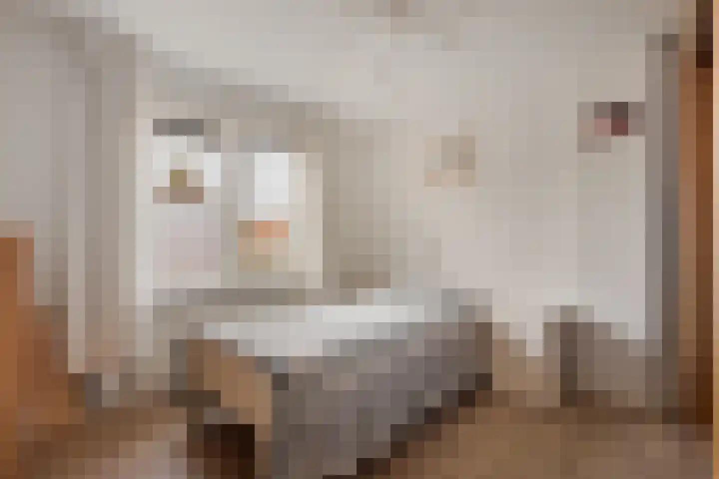Marialaan 99 Zwanenburg thumbnail 19