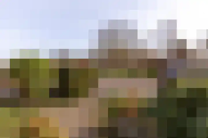 Marialaan 99 Zwanenburg thumbnail 25