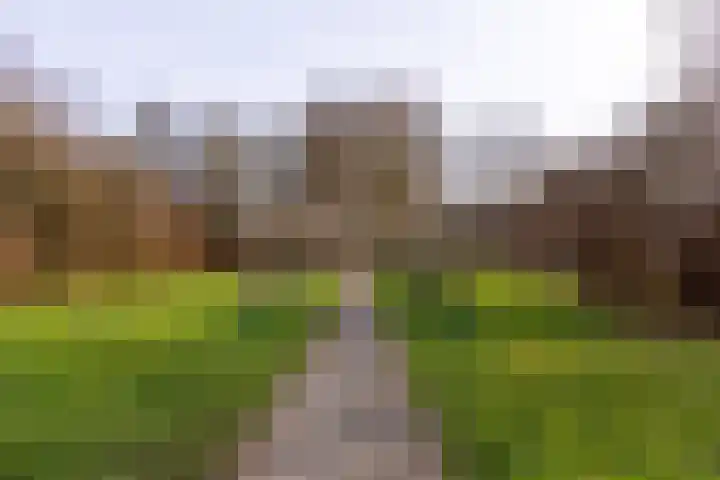 Marialaan 99 Zwanenburg thumbnail 27