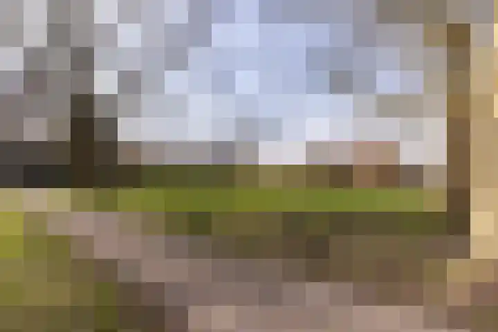 Marialaan 99 Zwanenburg thumbnail 28