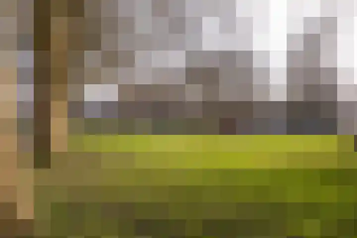 Marialaan 99 Zwanenburg thumbnail 29
