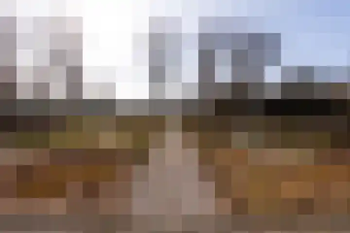 Marialaan 99 Zwanenburg thumbnail 30