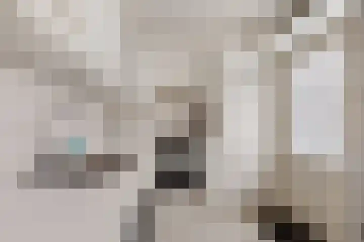 Marialaan 99 Zwanenburg thumbnail 5