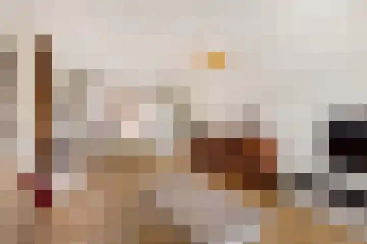 Marialaan 99 Zwanenburg thumbnail 9
