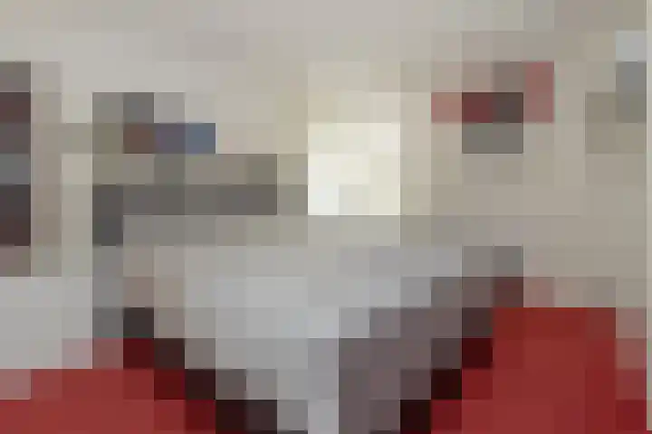 Mariamunster 37 Berg en Terblijt thumbnail 21
