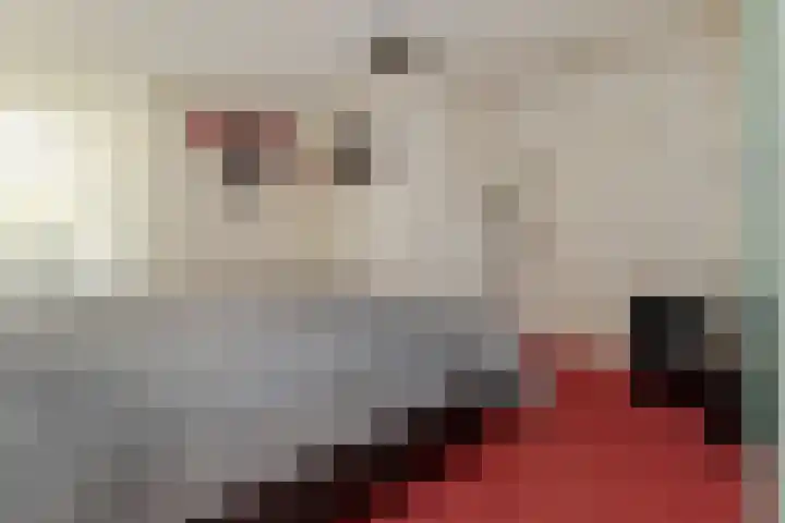 Mariamunster 37 Berg en Terblijt thumbnail 22