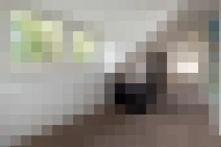 Mariamunster 37 Berg en Terblijt thumbnail 42