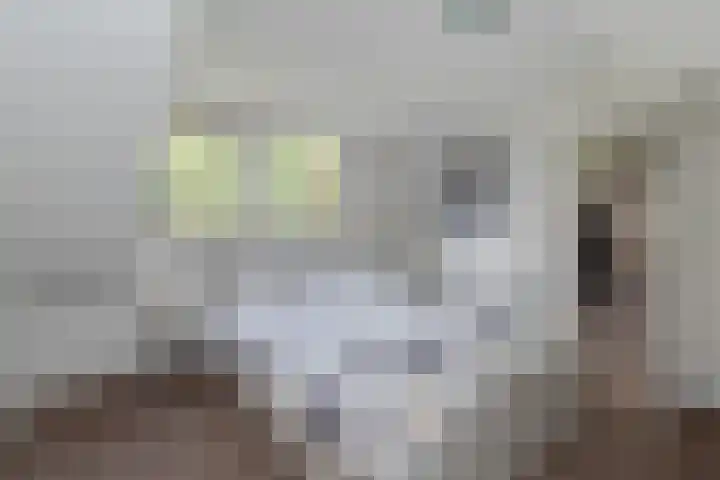 Mariamunster 37 Berg en Terblijt thumbnail 44