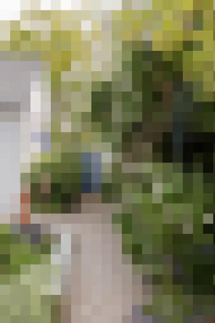 Mariamunster 37 Berg en Terblijt thumbnail 50