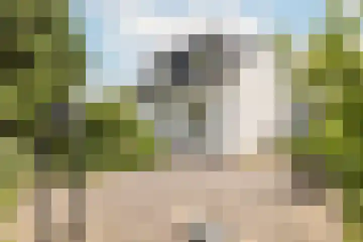 Mariamunster 37 Berg en Terblijt thumbnail 53