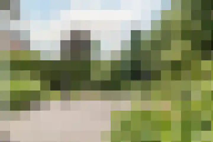 Mariamunster 37 Berg en Terblijt thumbnail 54
