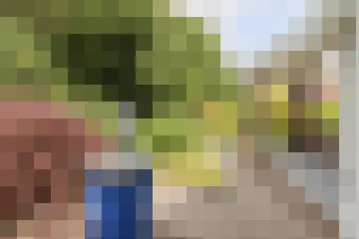 Mariamunster 37 Berg en Terblijt thumbnail 56