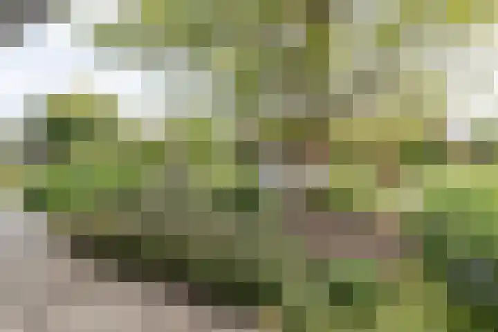 Mariamunster 37 Berg en Terblijt thumbnail 62