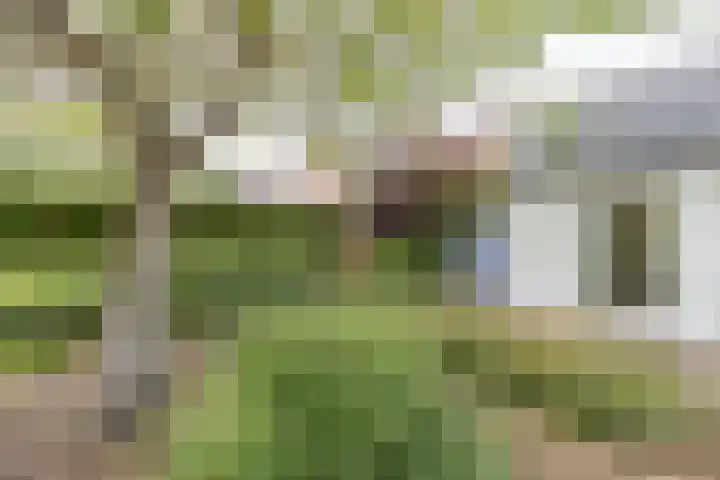 Mariamunster 37 Berg en Terblijt thumbnail 64
