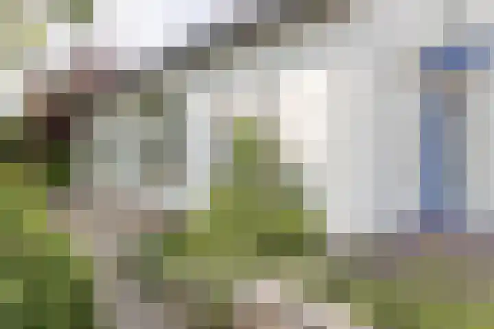 Mariamunster 37 Berg en Terblijt thumbnail 65