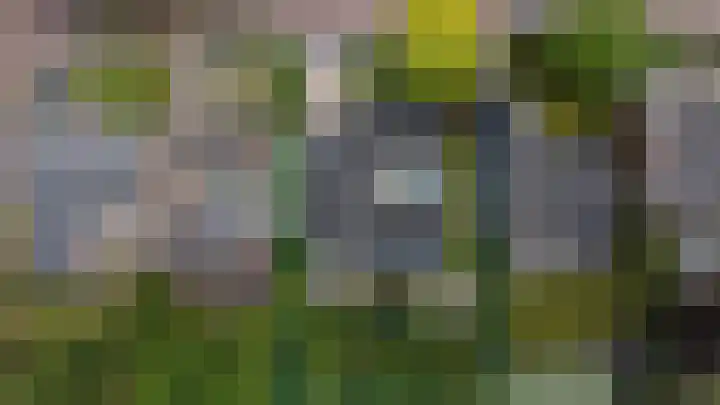 Mariamunster 37 Berg en Terblijt thumbnail 67