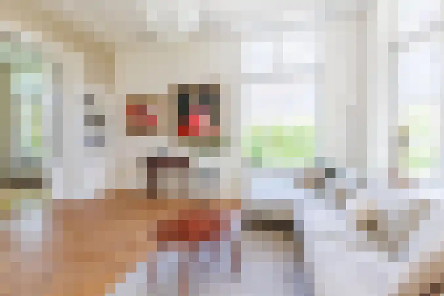 Mariannalaan 21 Apeldoorn thumbnail 10