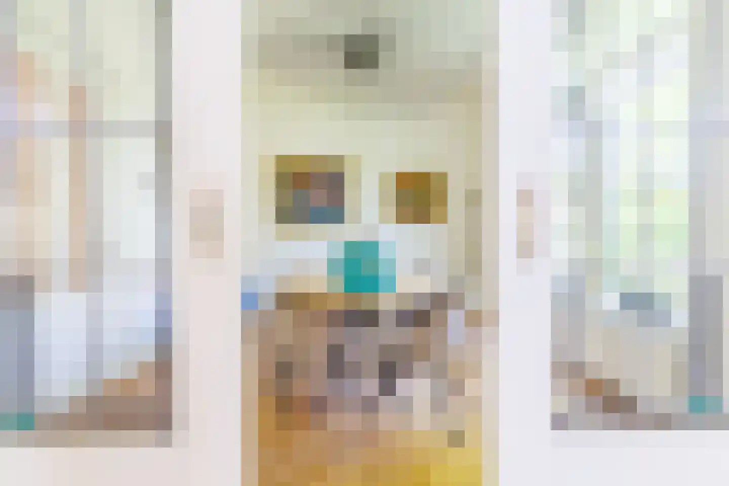 Mariannalaan 21 Apeldoorn thumbnail 12