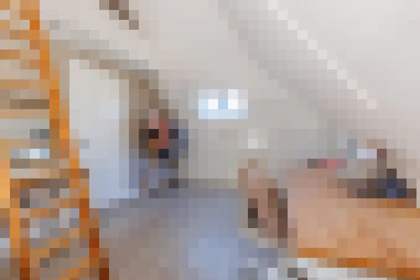 Mariannalaan 21 Apeldoorn thumbnail 40