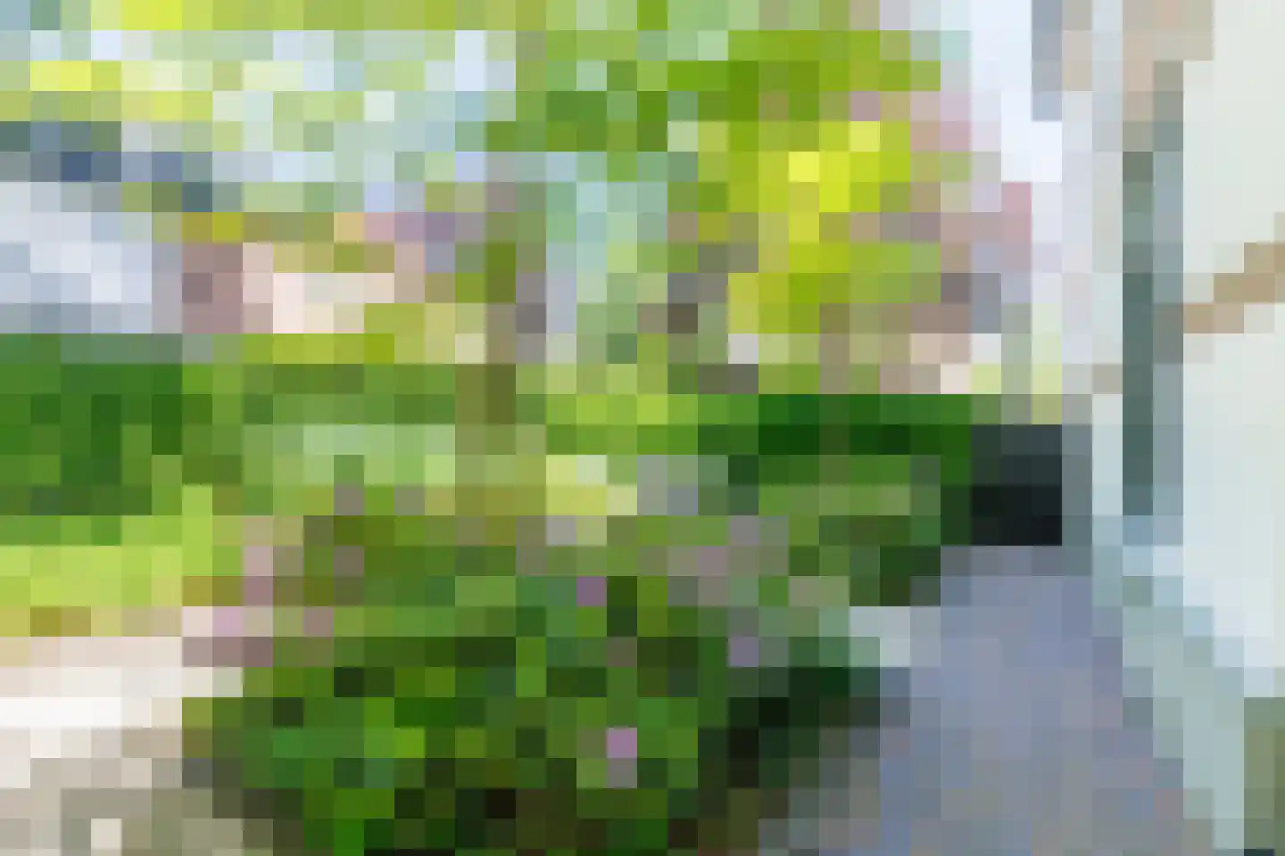 Mariannalaan 21 Apeldoorn thumbnail 51