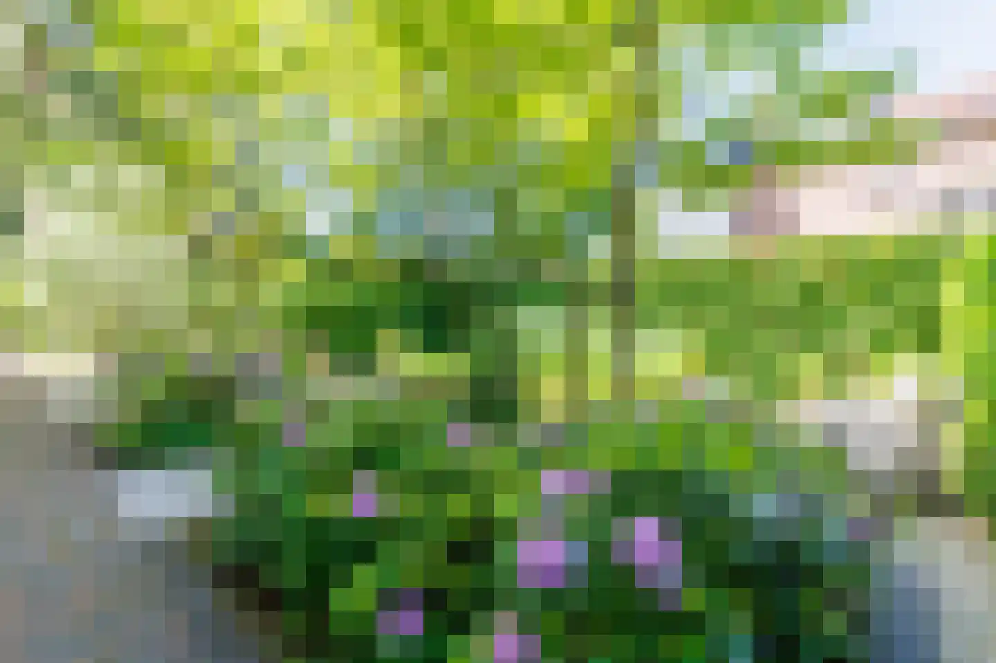 Mariannalaan 21 Apeldoorn thumbnail 52