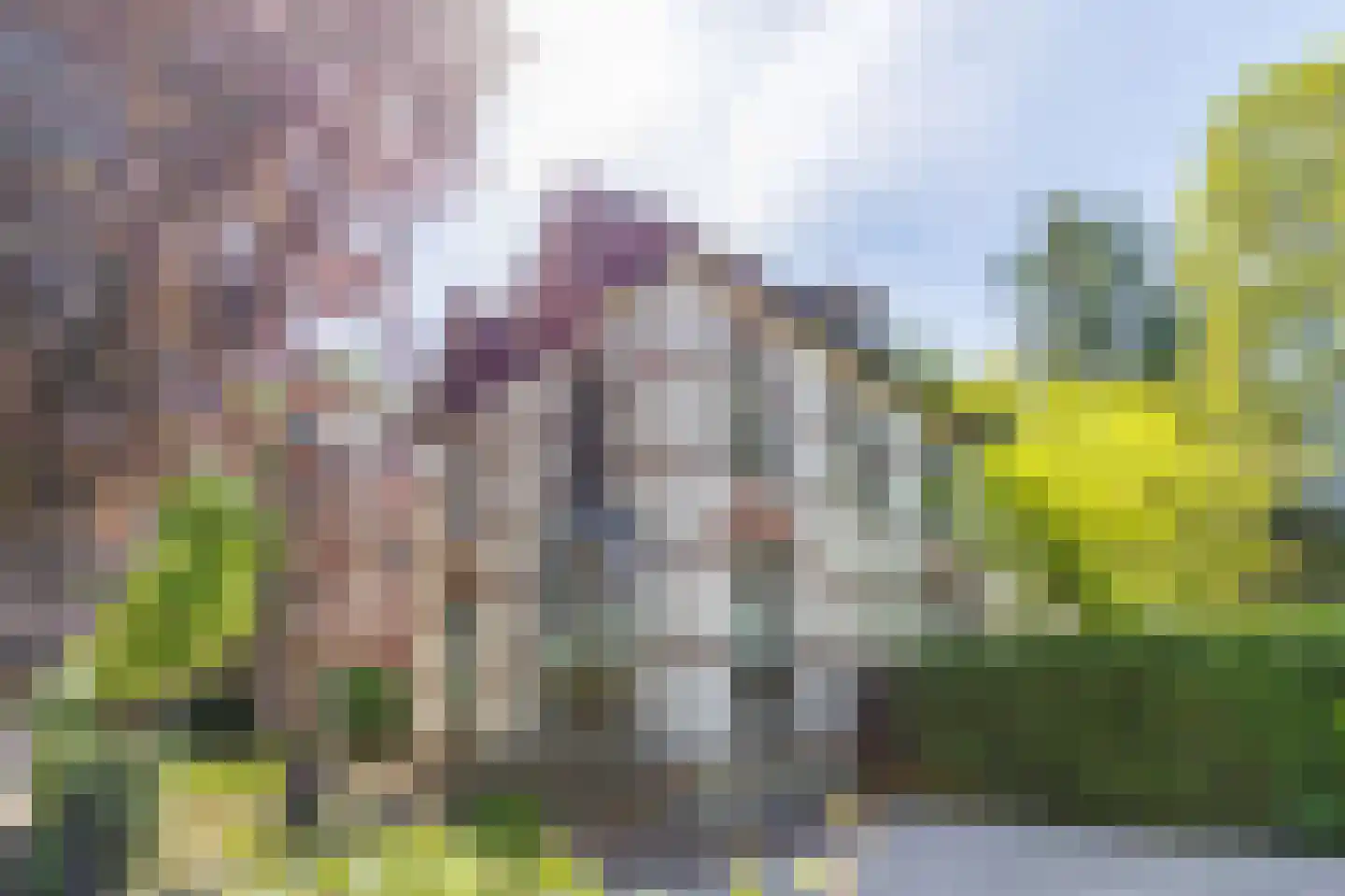 Mariannalaan 21 Apeldoorn thumbnail 53