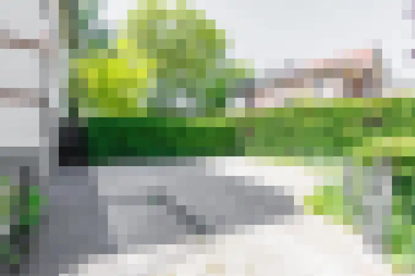 Mariannalaan 21 Apeldoorn thumbnail 57