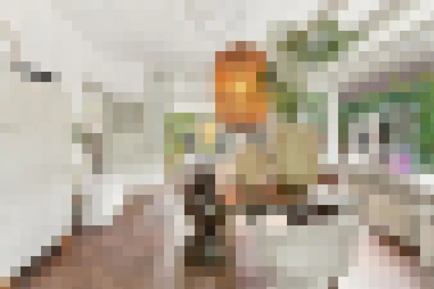 Mariannalaan 5 Apeldoorn thumbnail 11