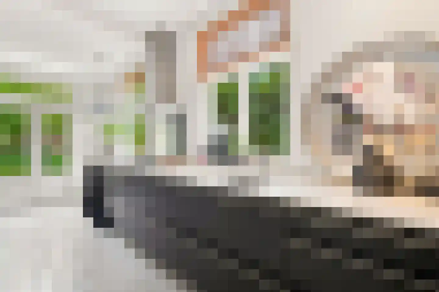 Mariannalaan 5 Apeldoorn thumbnail 16