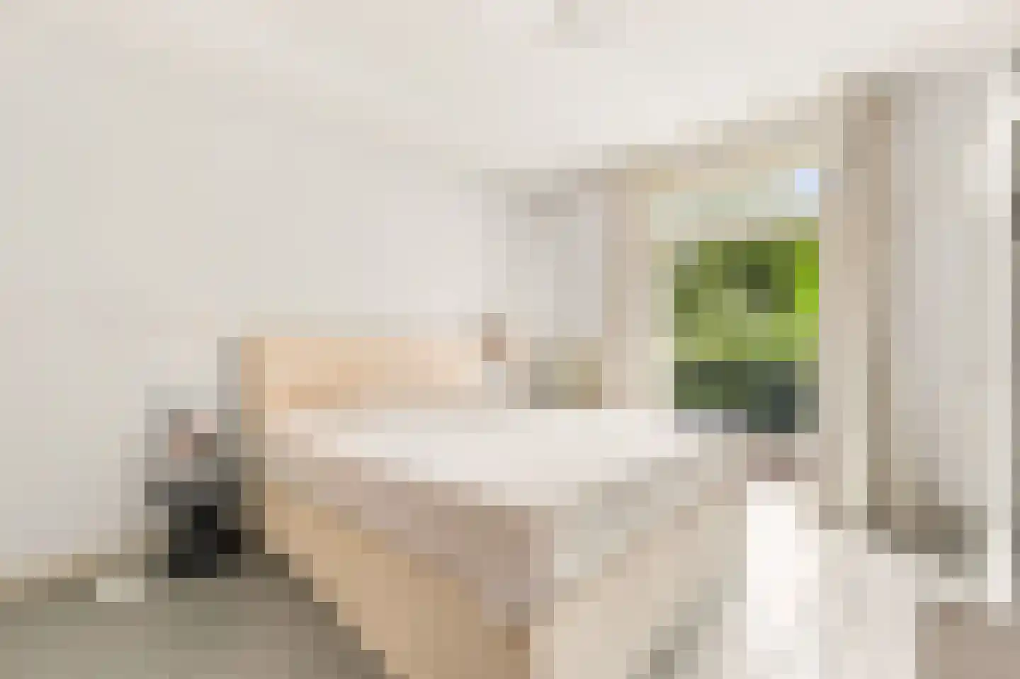 Mariannalaan 5 Apeldoorn thumbnail 26