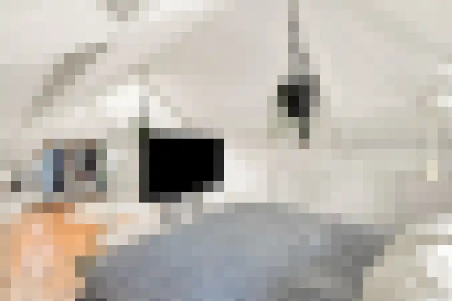 Mariannalaan 5 Apeldoorn thumbnail 32