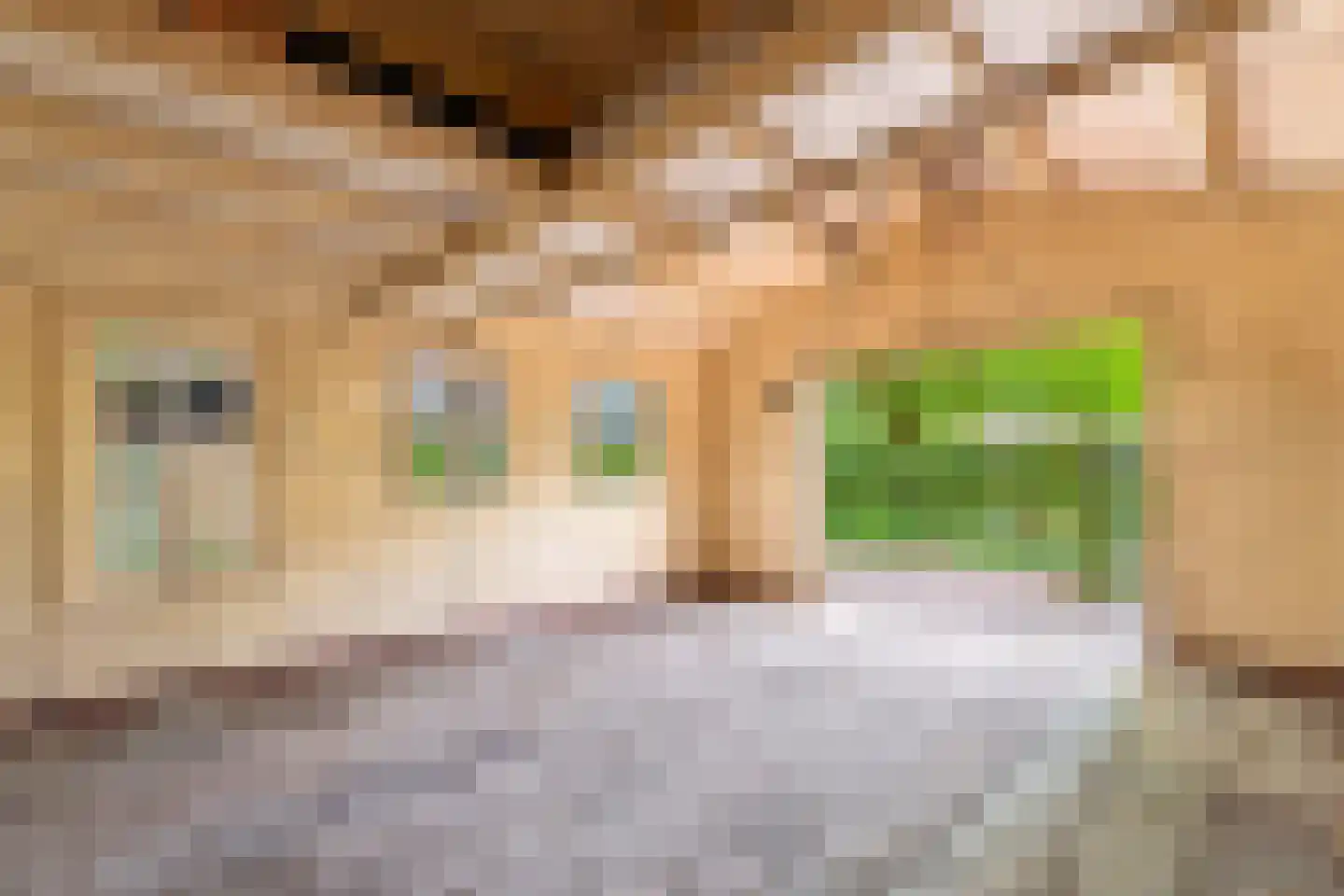 Mariannalaan 5 Apeldoorn thumbnail 37