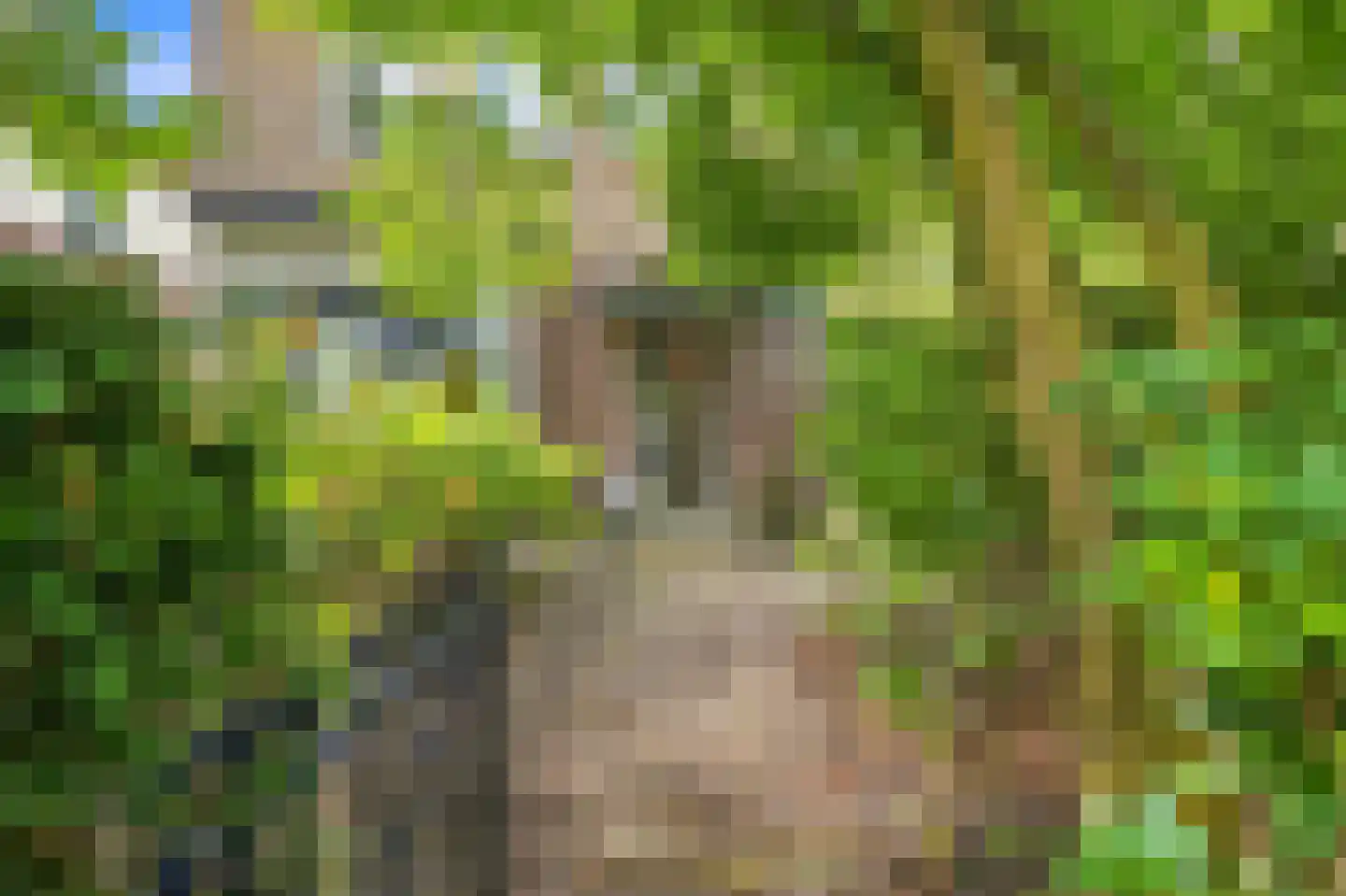 Mariannalaan 5 Apeldoorn thumbnail 7