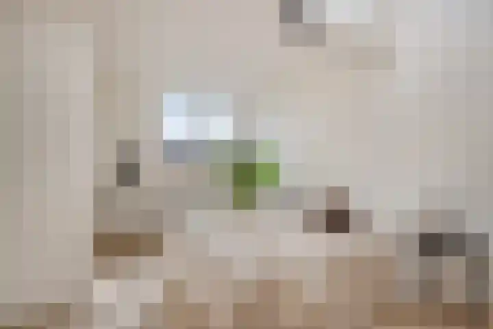 Marianne Philipslaan 15 Amstelveen thumbnail 17