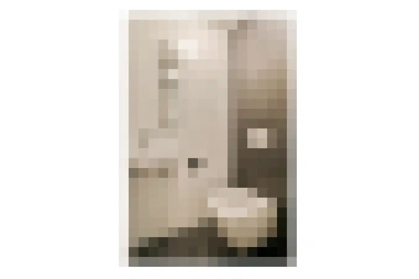 Marianne Philipslaan 18 Amstelveen thumbnail 15