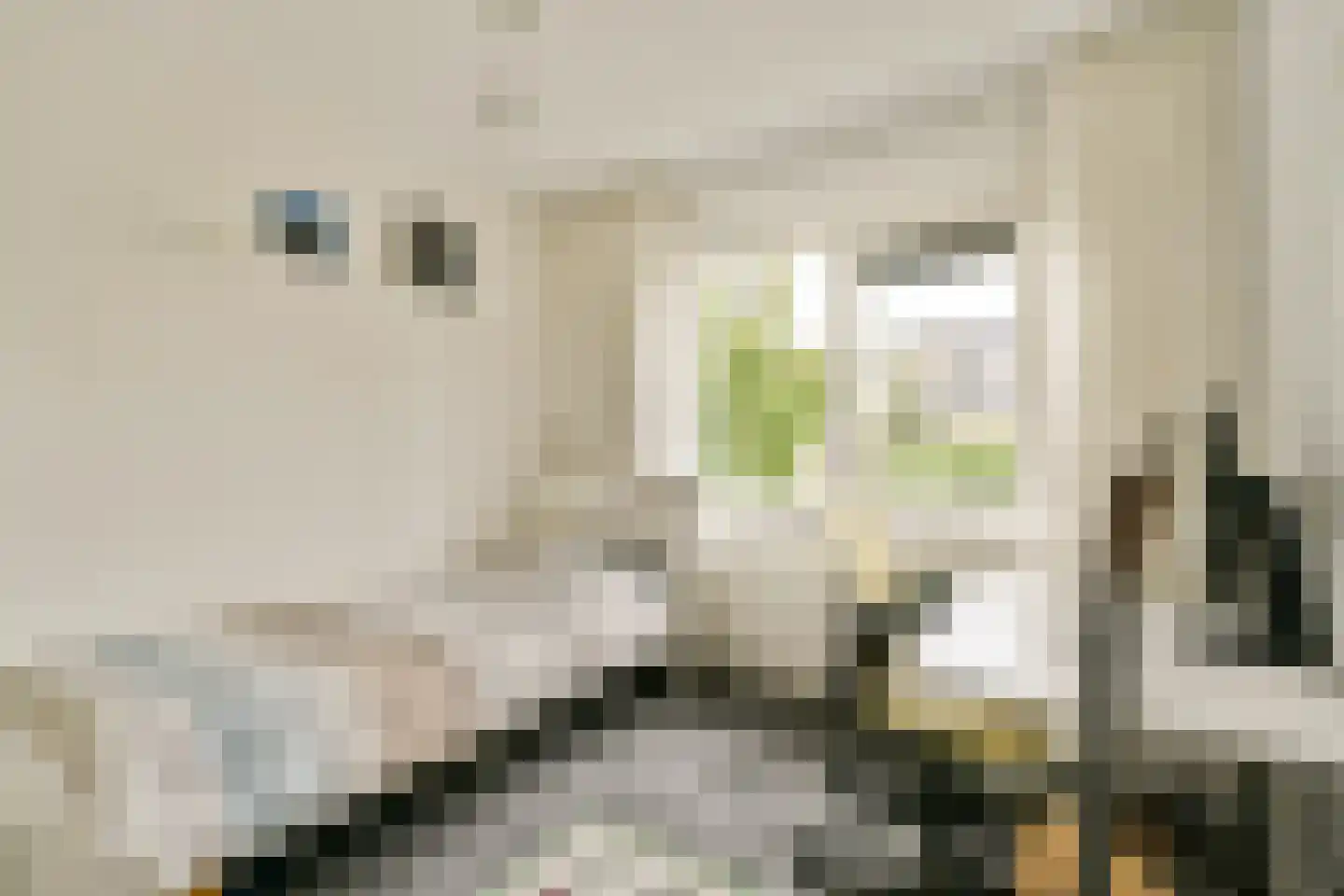 Marianne Philipslaan 18 Amstelveen thumbnail 22