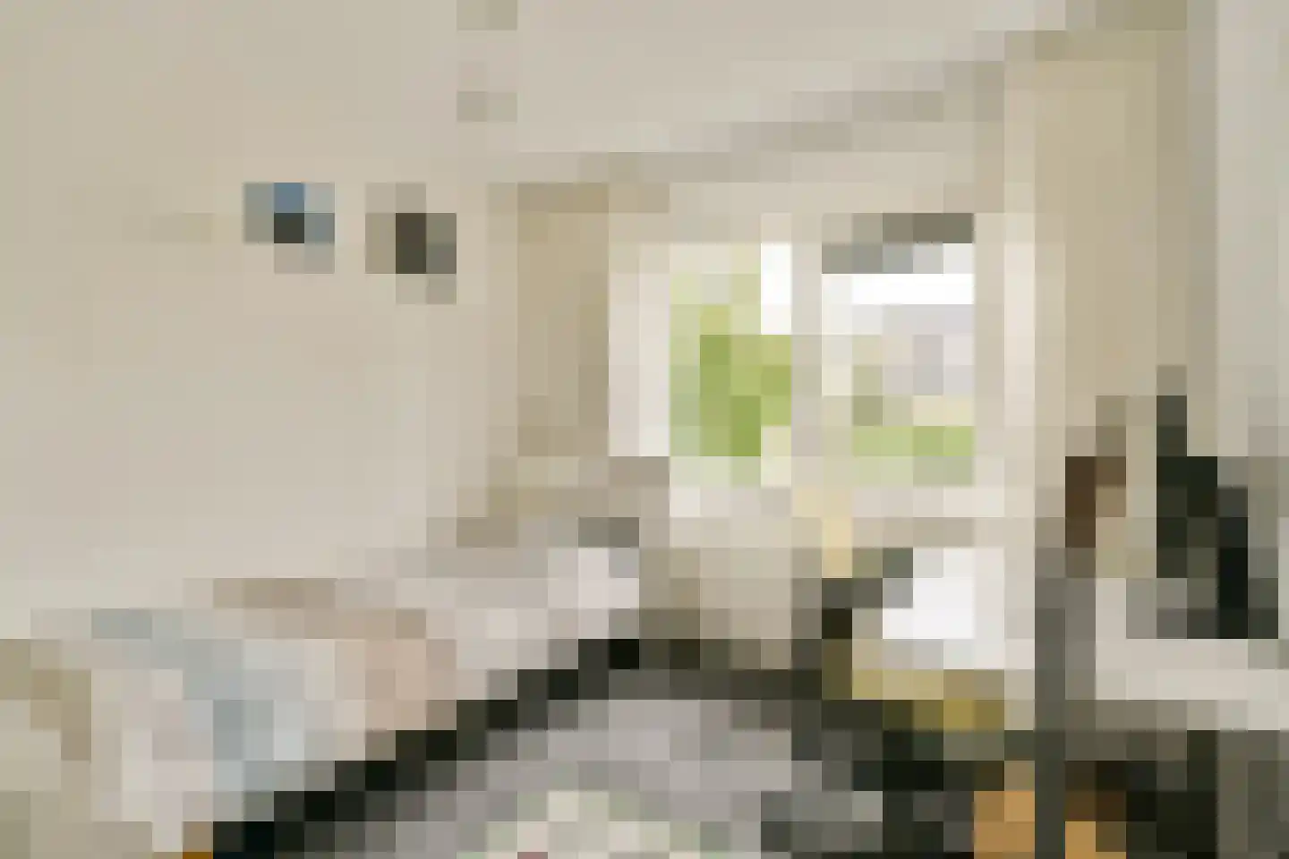 Marianne Philipslaan 18 Amstelveen thumbnail 22