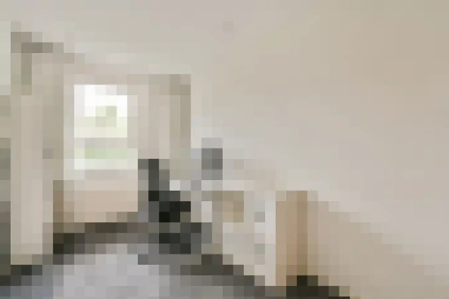Marianne Philipslaan 18 Amstelveen thumbnail 25
