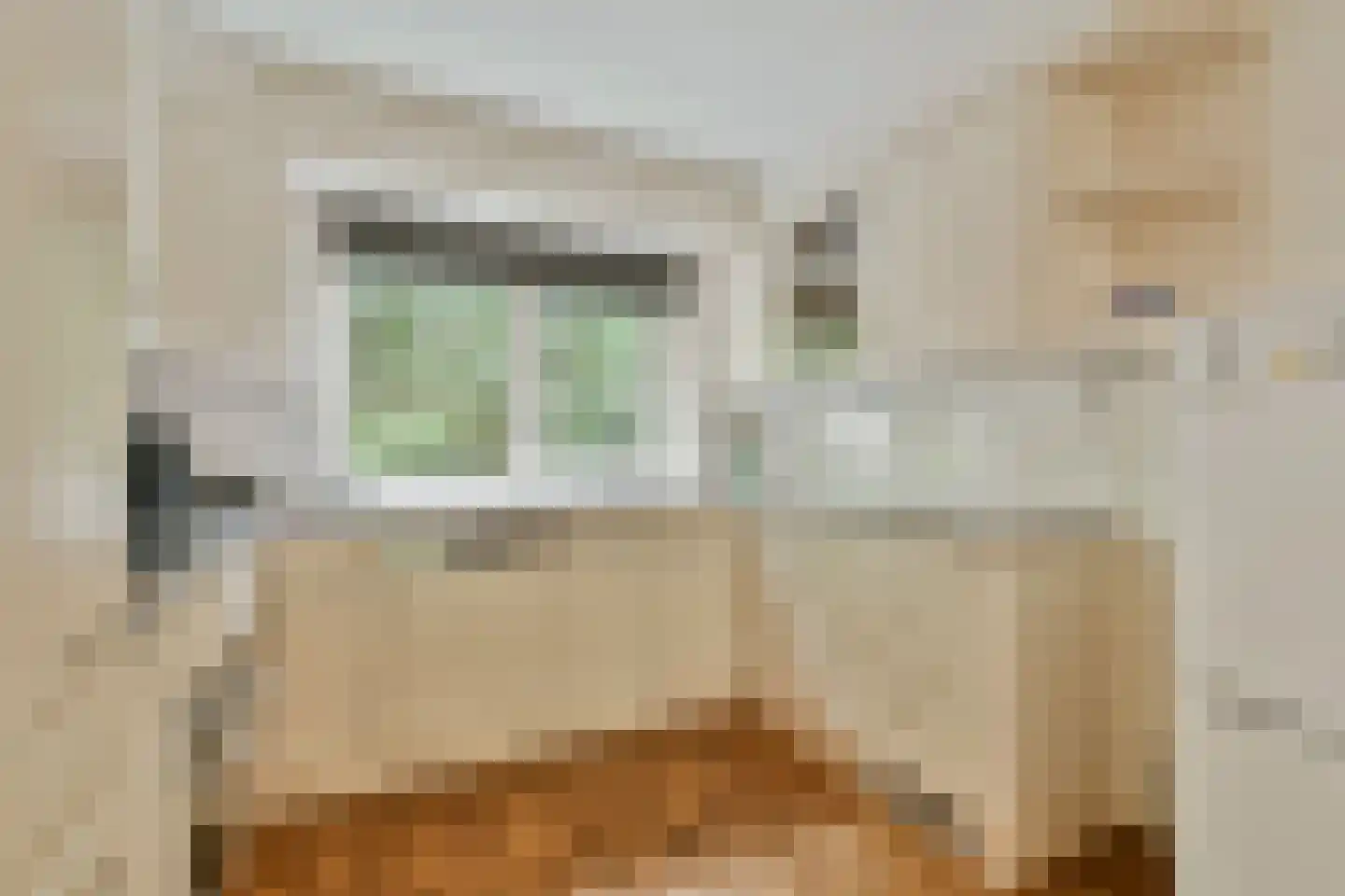 Marianne Philipslaan 18 Amstelveen thumbnail 8