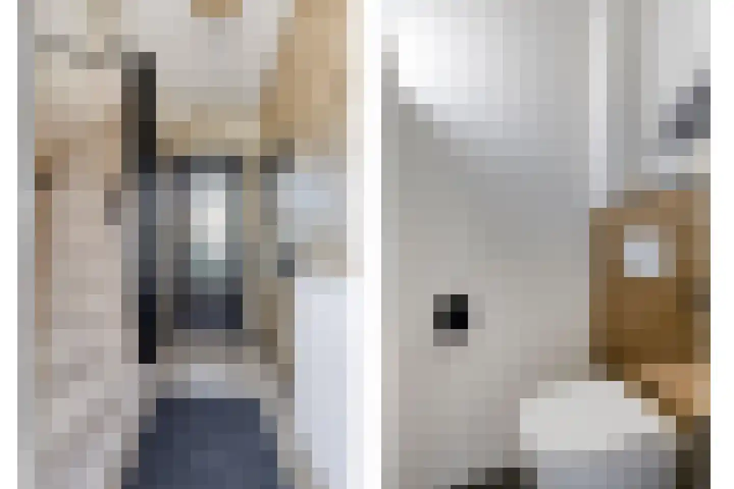 Marianne van Hogendorpstraat 18 Purmerend thumbnail 14