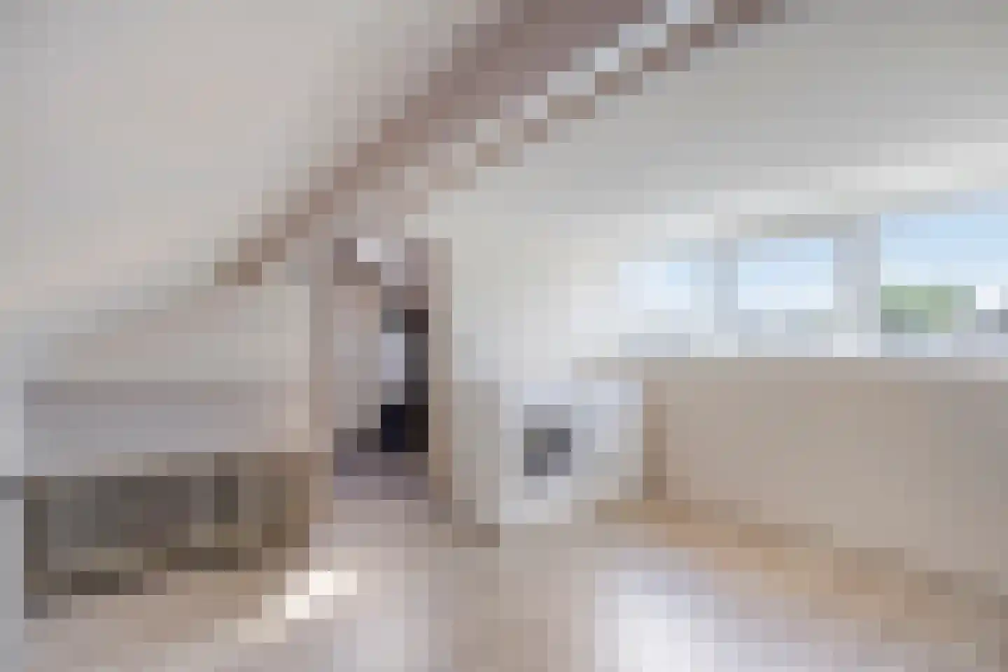 Marianne van Hogendorpstraat 18 Purmerend thumbnail 26