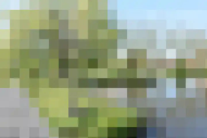 Marianne van Hogendorpstraat 23 Purmerend thumbnail 22