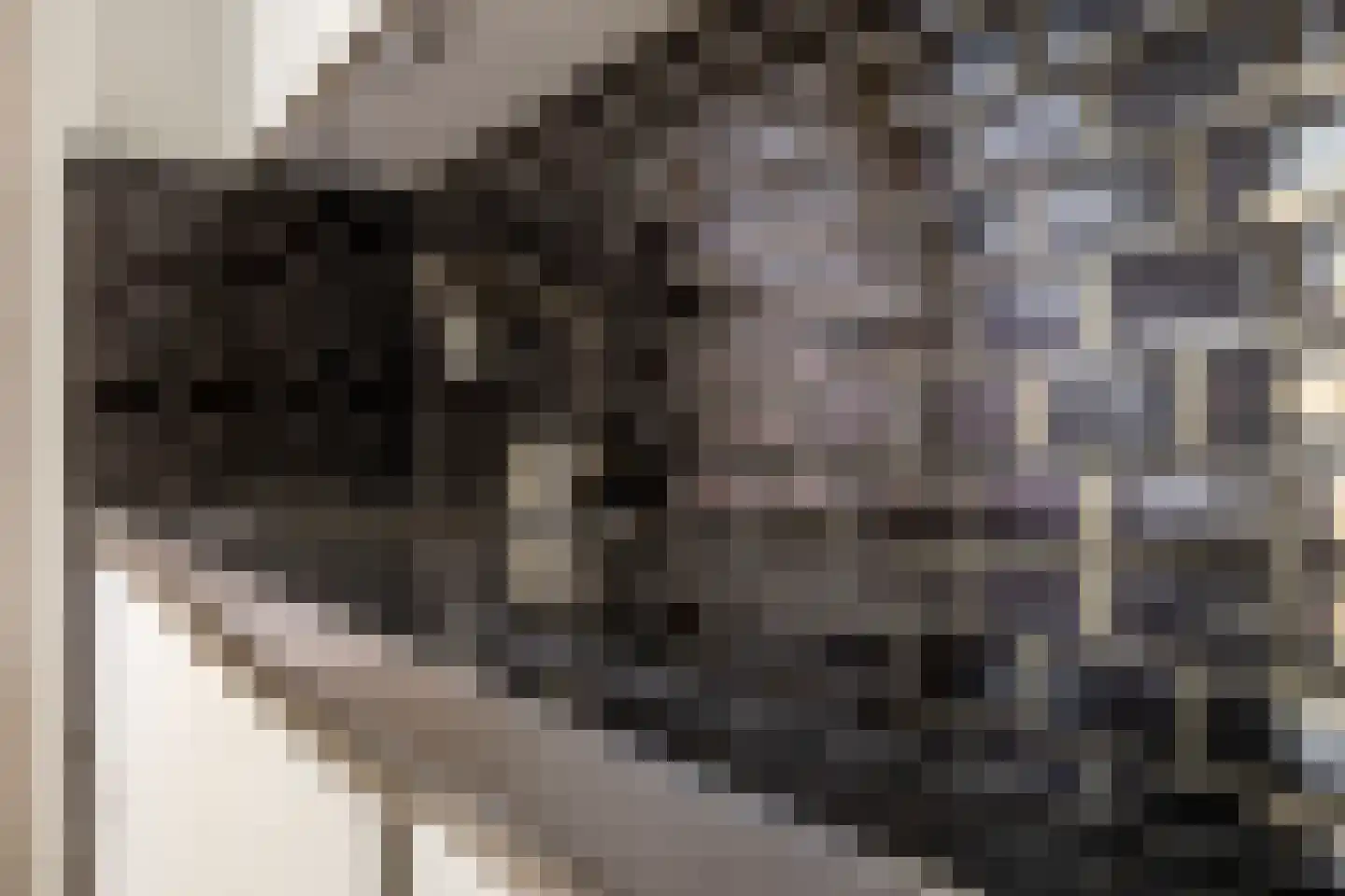 Mariannehof 6 Lopik thumbnail 15