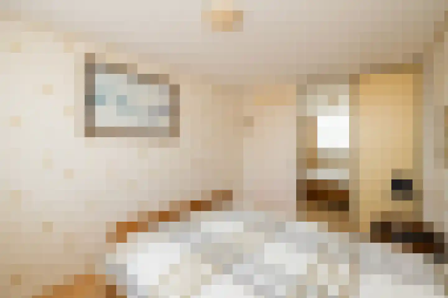 Mariannehof 7 Lopik thumbnail 30