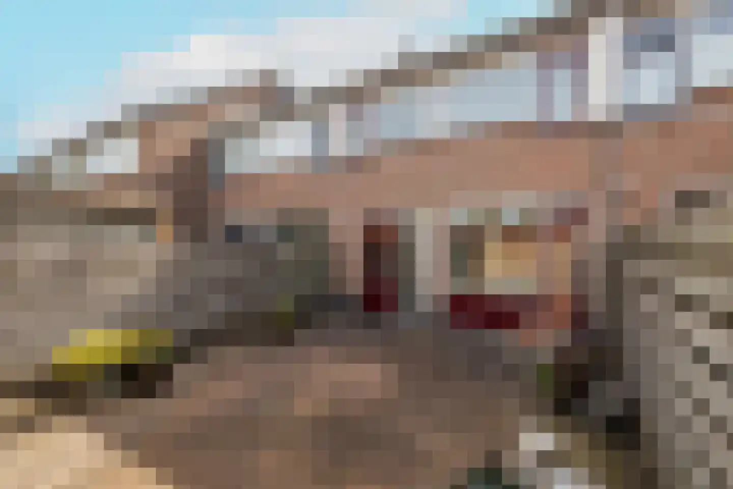 Mariannehof 7 Lopik thumbnail 52