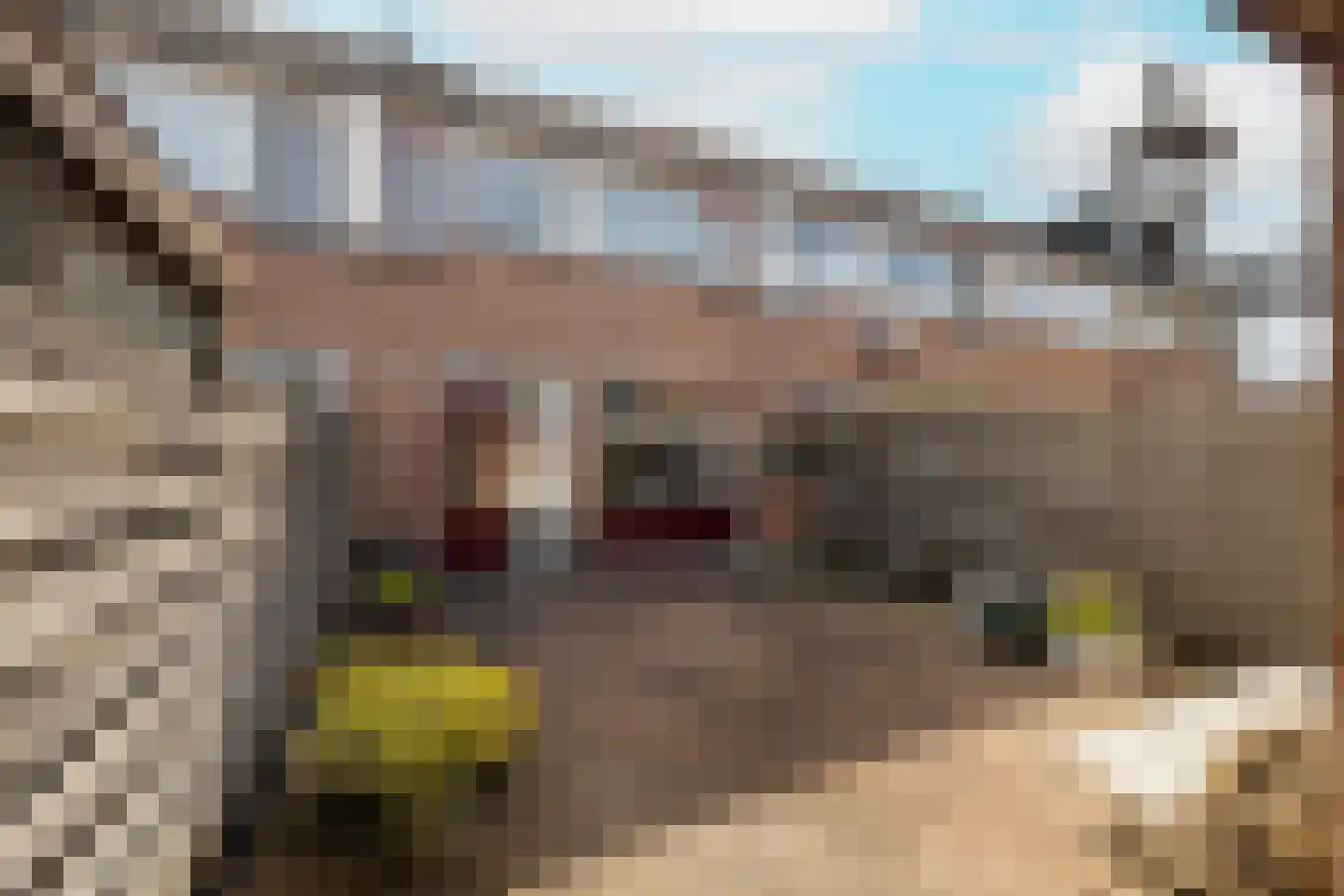 Mariannehof 7 Lopik thumbnail 53